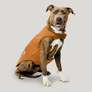 Brawny Canvas Reversible Dog Work Jacket