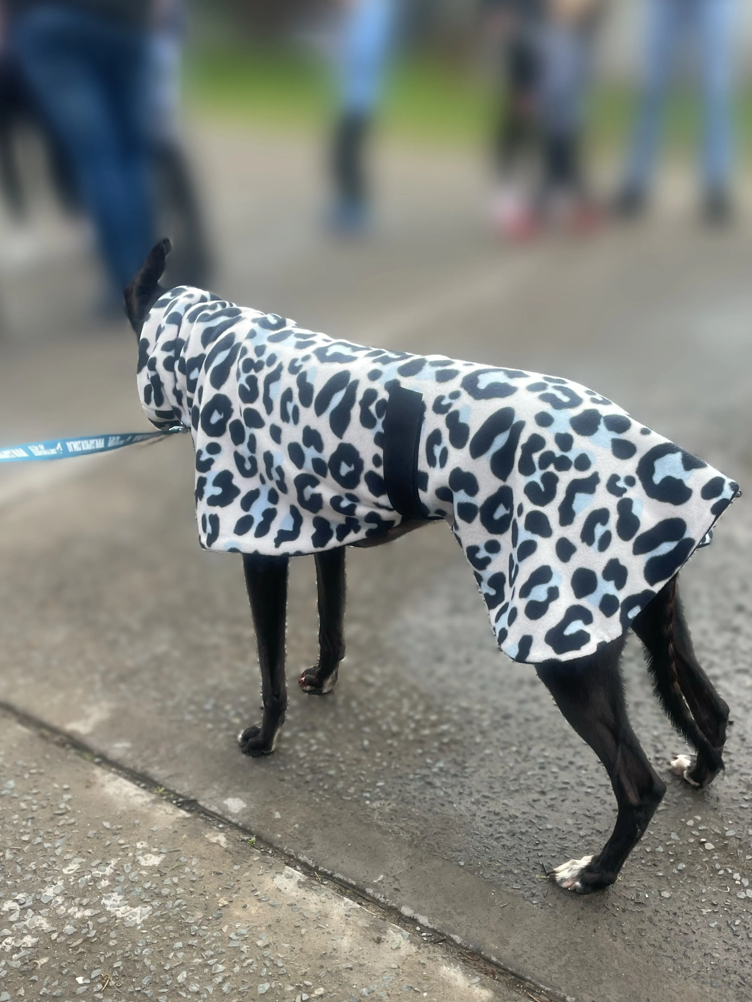 Greyhound Deluxe style coat rug double polar fleece leopard print washable extra wide hoodie