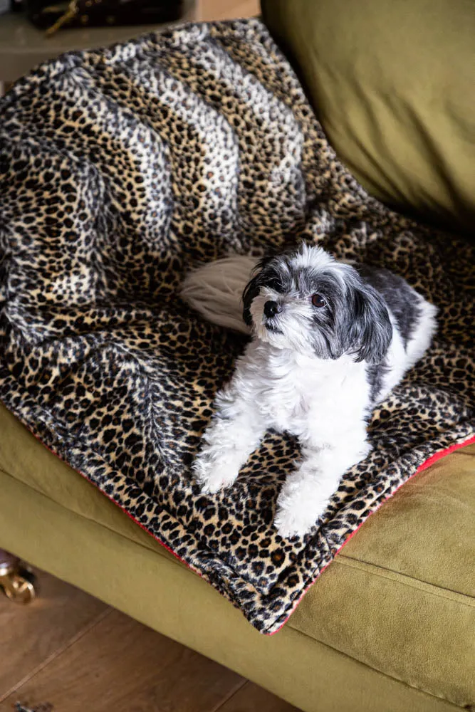 Leopard Print Pet Padded Blanket