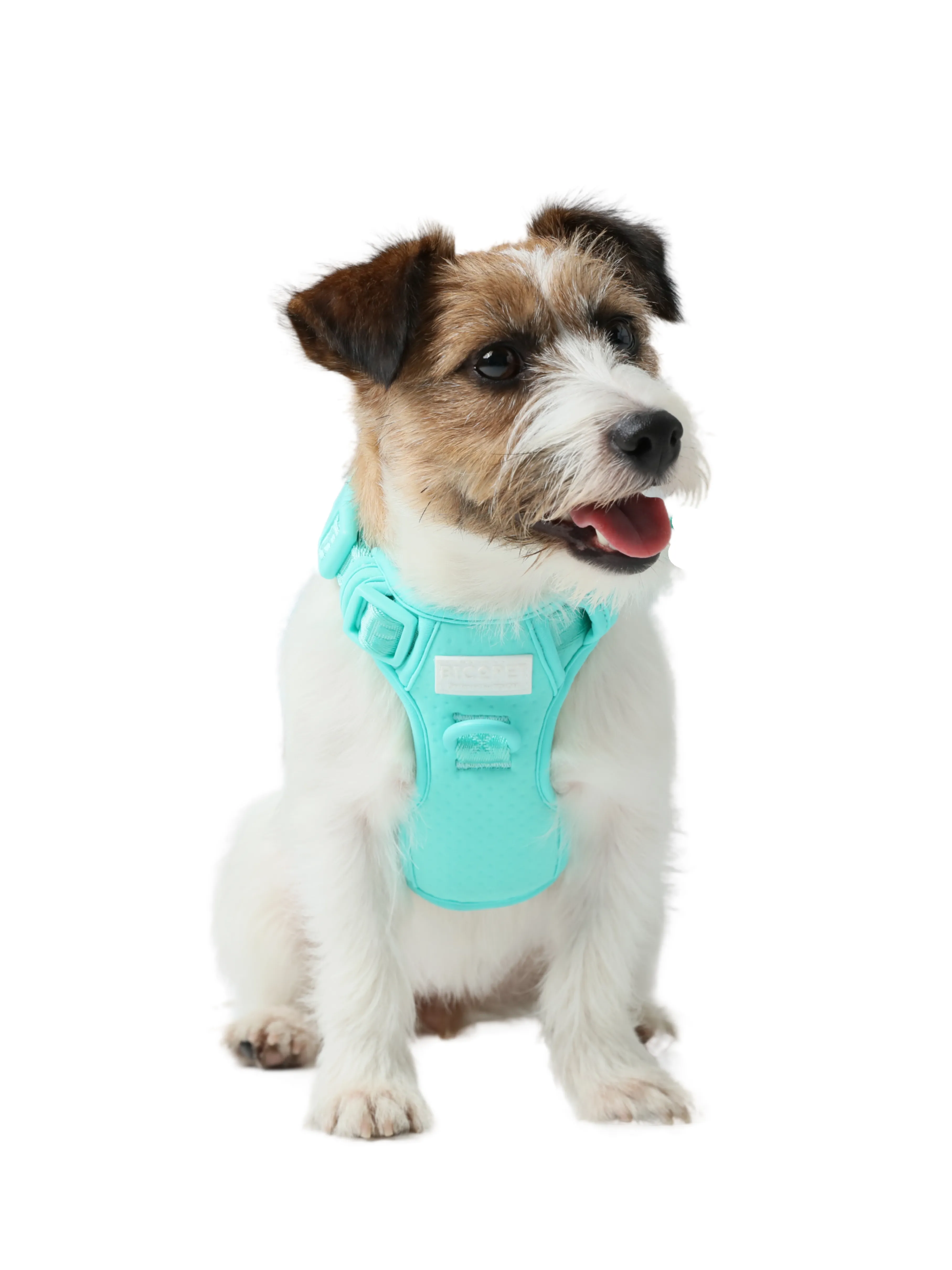 NO PULL ACTIVE  PET HARNESS - MINT GREEN