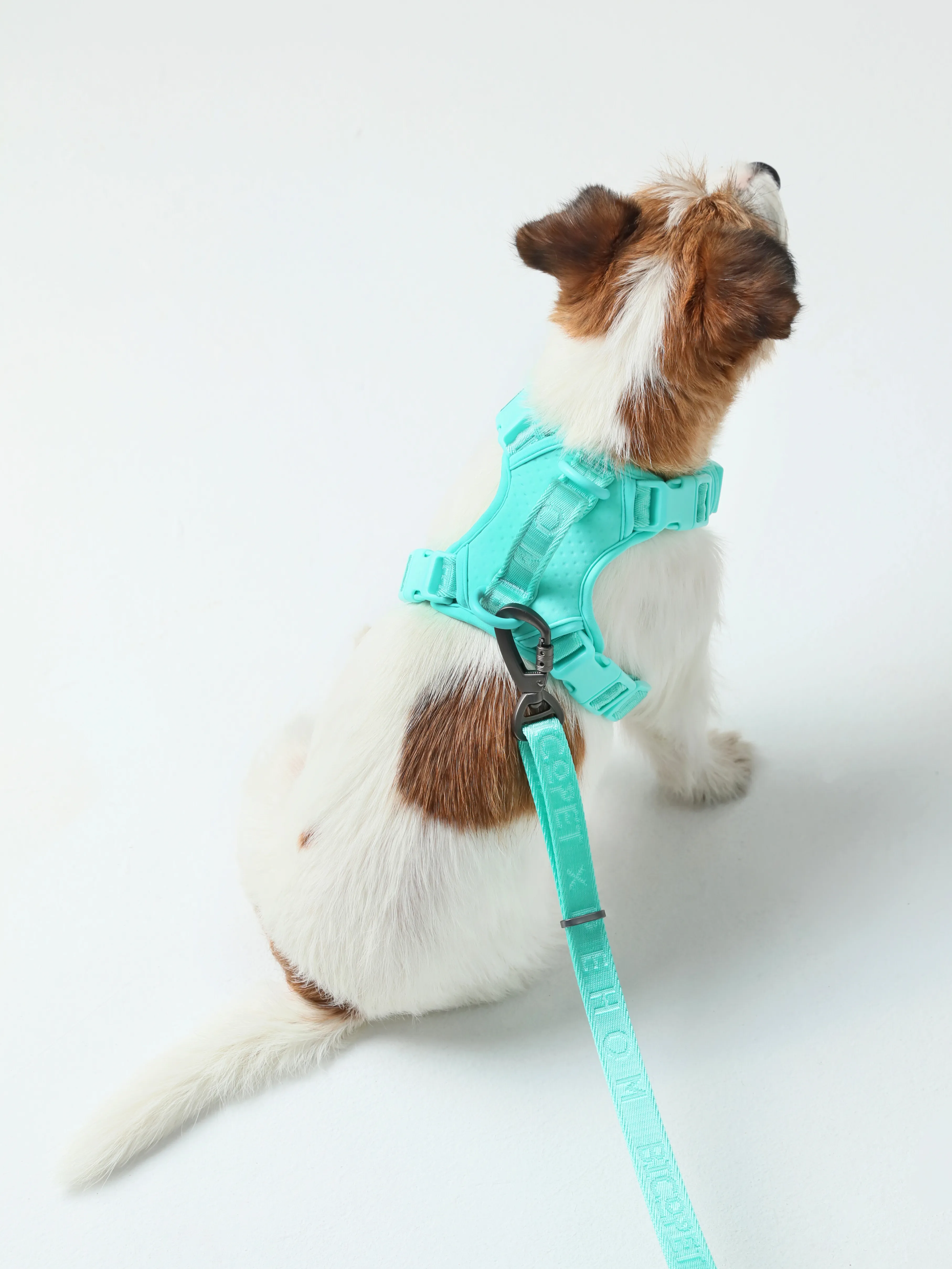 NO PULL ACTIVE  PET HARNESS - MINT GREEN